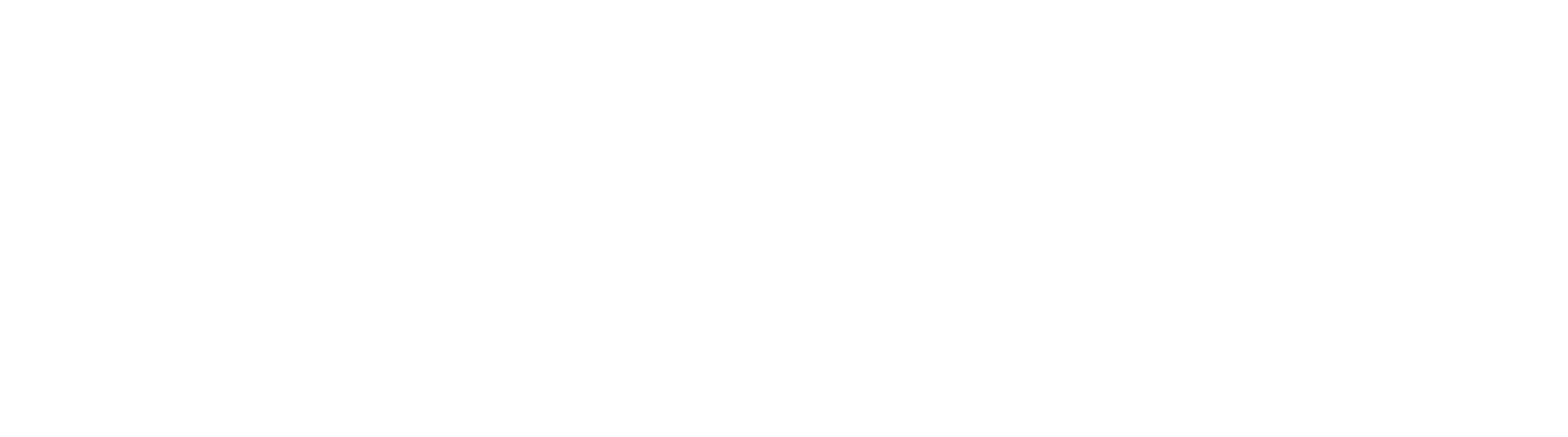 VITESSE